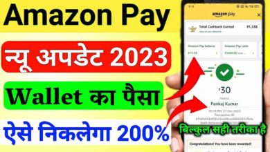 Amazon Pay Wallet To Bank Account Transfer 2023 - How to transfer Amazon Pay balance to your bank account